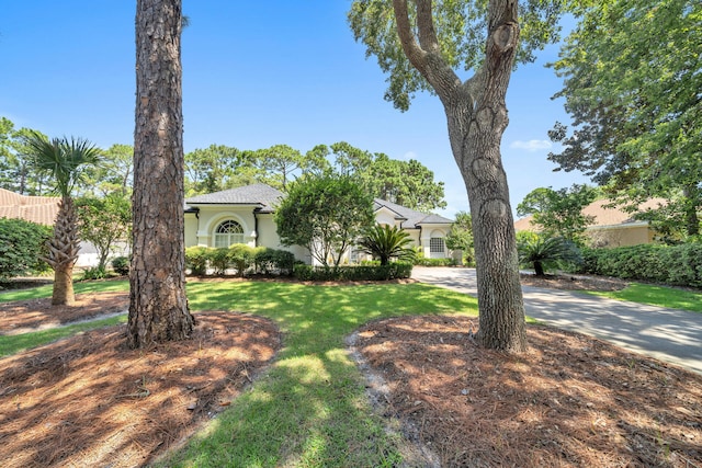 view of front of home with a front yard