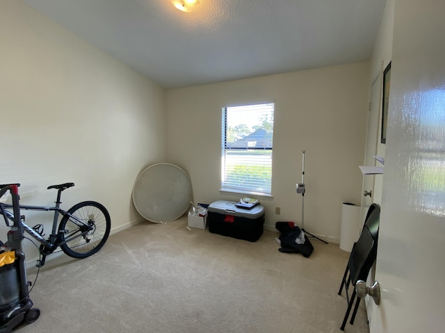 miscellaneous room featuring light colored carpet and a textured ceiling