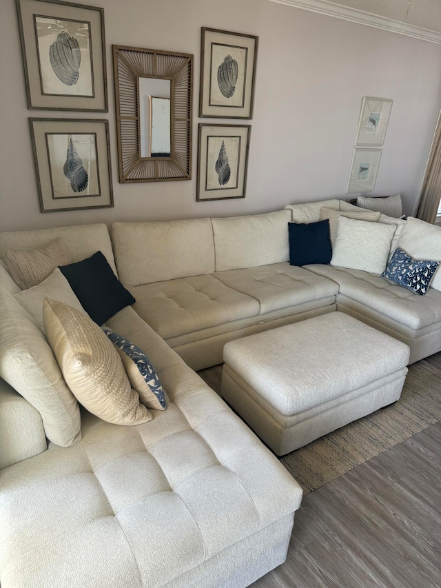 living room featuring hardwood / wood-style flooring and ornamental molding