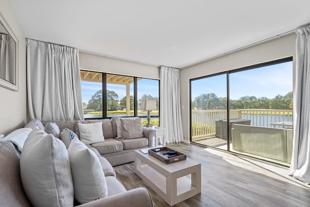 living room featuring a water view, light hardwood / wood-style floors, and a wealth of natural light