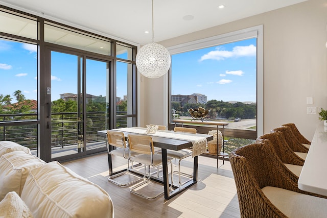 dining space with light hardwood / wood-style floors, a healthy amount of sunlight, and expansive windows