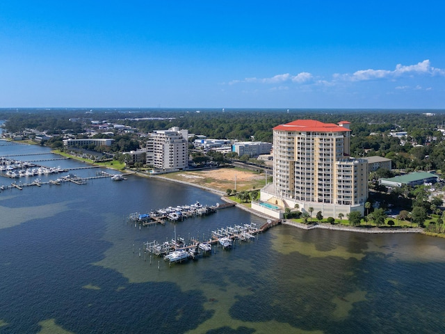 bird's eye view with a water view