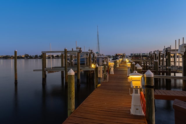 dock area with a water view