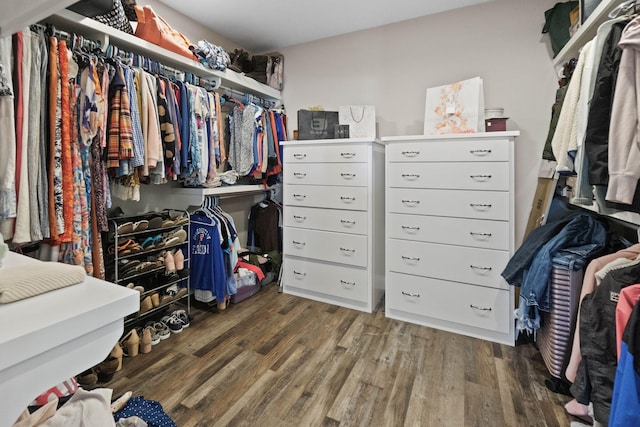 walk in closet featuring dark wood-type flooring