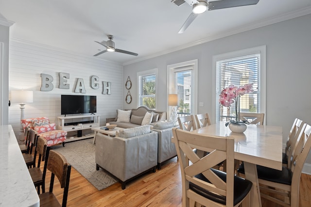 living room featuring ceiling fan, ornamental molding, and light hardwood / wood-style flooring