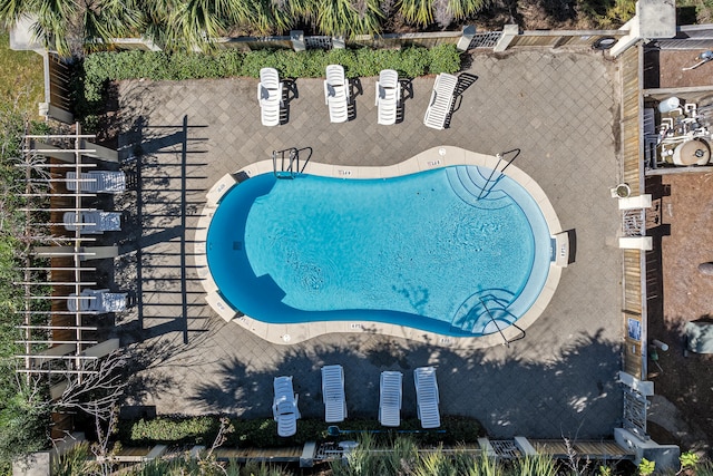 view of pool featuring a patio