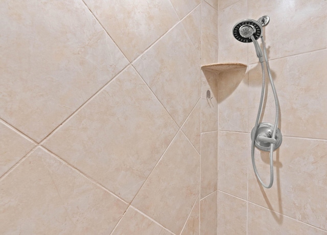 interior details with tiled shower