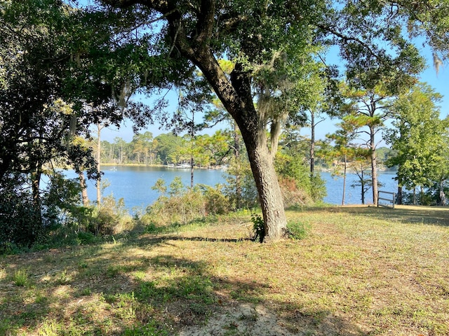 property view of water