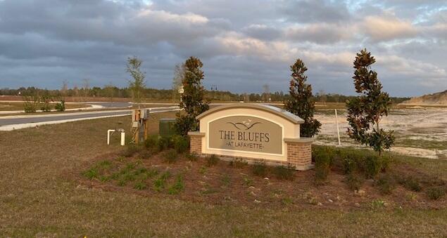 601 Alleyoak Ln Lot 11-2, Freeport, FL 32439 - view of community / neighborhood sign