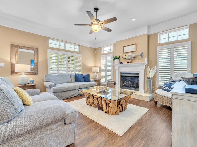 living room with ceiling fan, dark hardwood / wood-style floors, and ornamental molding