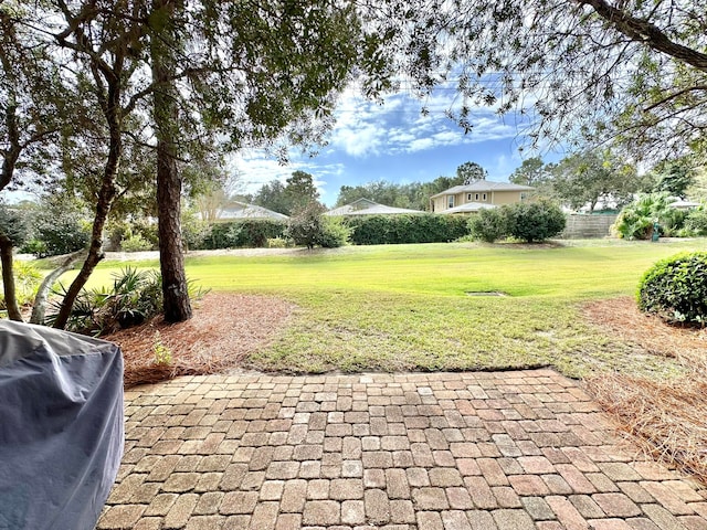 view of yard with a patio area