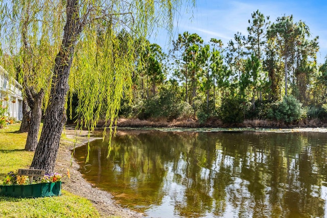 property view of water