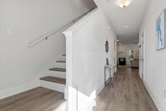 hallway featuring wood-type flooring