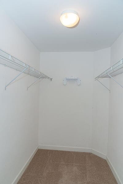 spacious closet featuring carpet floors