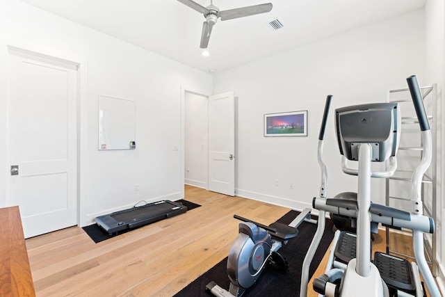 exercise room featuring hardwood / wood-style flooring and ceiling fan