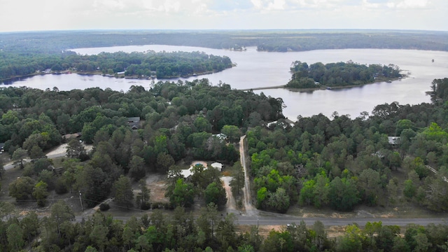 1097 Bob Mccaskill Dr, Defuniak Springs, FL 32433 - aerial view of a forest and a large body of water