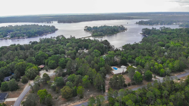 1097 Bob Mccaskill Dr, Defuniak Springs, FL 32433 - bird's eye view of a large body of water and a forest
