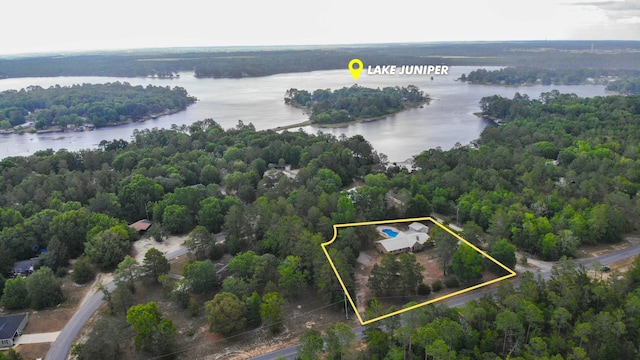 1097 Bob Mccaskill Dr, Defuniak Springs, FL 32433 - aerial overview of property's location featuring a large body of water, property parcel outlined, and a forest