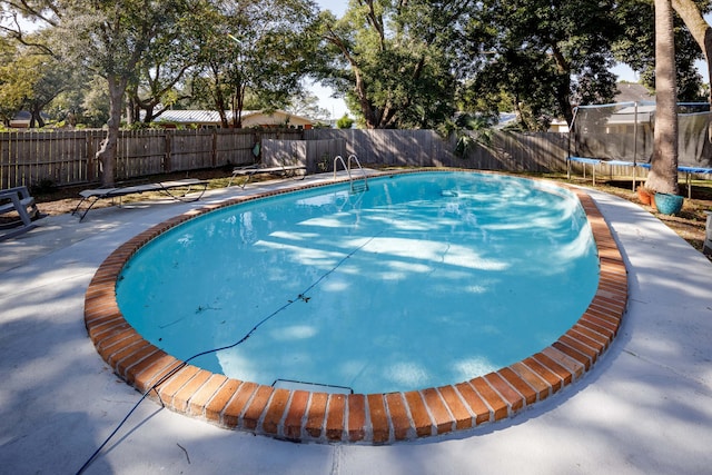 view of swimming pool featuring a trampoline