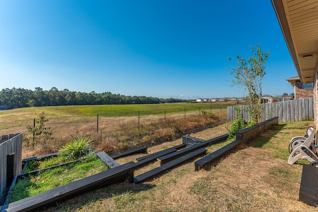 view of yard with a rural view