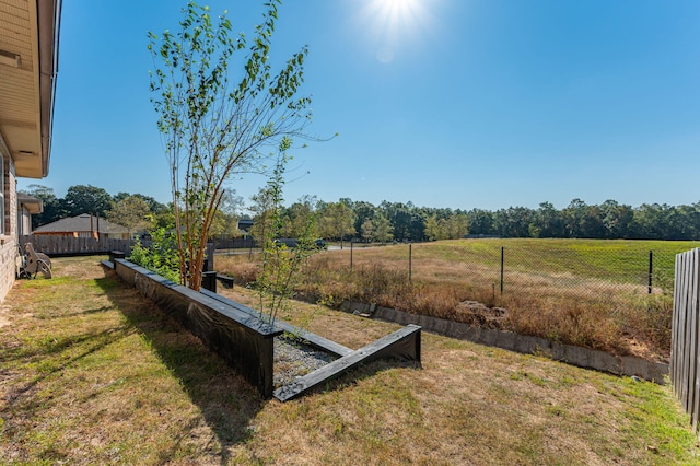 view of yard featuring a rural view