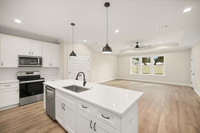 kitchen featuring a raised ceiling, sink, stainless steel appliances, and white cabinetry