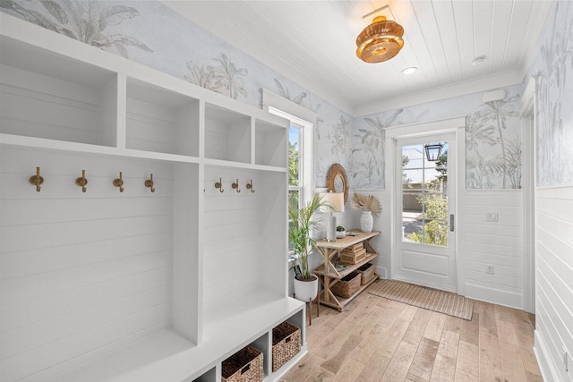 mudroom with hardwood / wood-style flooring