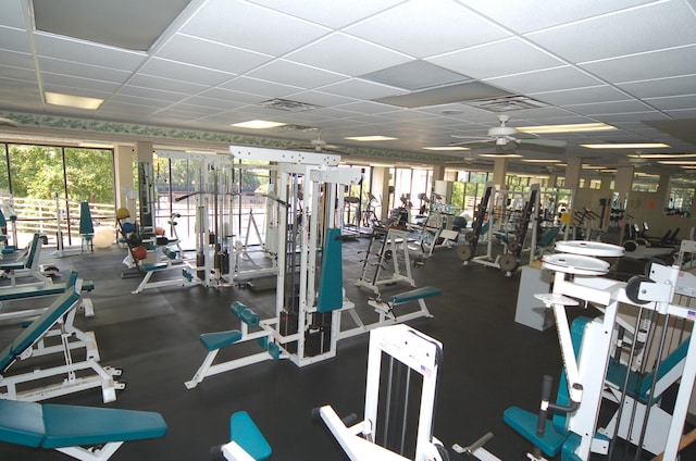 workout area featuring ceiling fan and a paneled ceiling