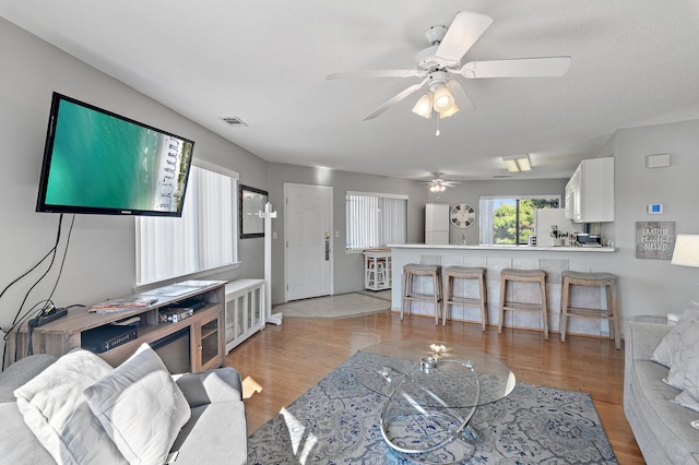 living room featuring light hardwood / wood-style floors and ceiling fan