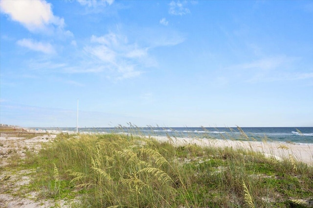 property view of water with a beach view