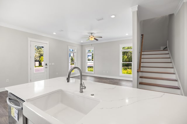 kitchen featuring dark wood-type flooring, ceiling fan, and plenty of natural light