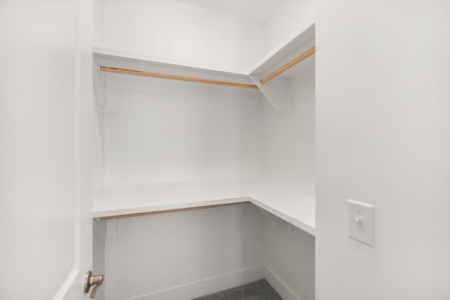 view of walk in closet