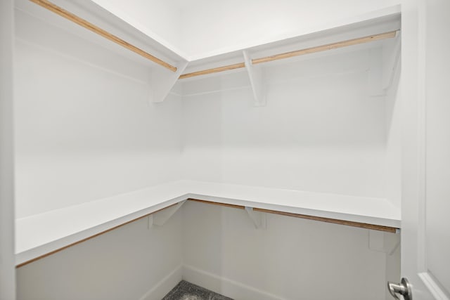 view of spacious closet