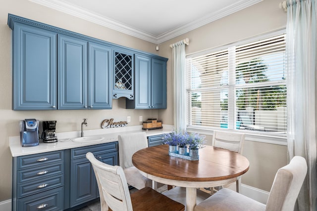 interior space with ornamental molding and sink