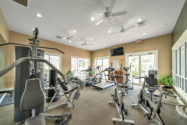 gym featuring a wealth of natural light