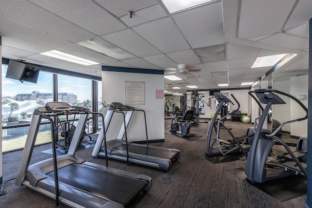 exercise room featuring ceiling fan, a drop ceiling, and carpet