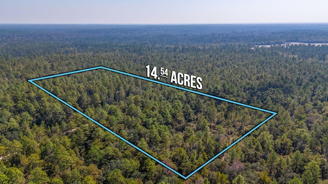 Listing photo 3 for 14.54ACRE Fairchild Rd, Crestview FL 32539