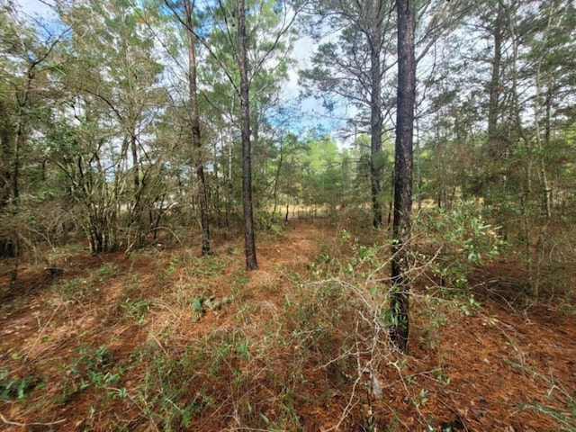 Listing photo 2 for 6 E Violet Ln Lot4 Blk, Defuniak Springs FL 32433