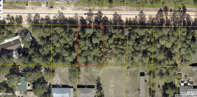 6 E Violet Ln Lot5 Blk, Defuniak Springs, FL 32433 - photo 5