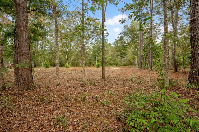 TBD-5 Wilson Way, Freeport, FL 32439 - photo 11