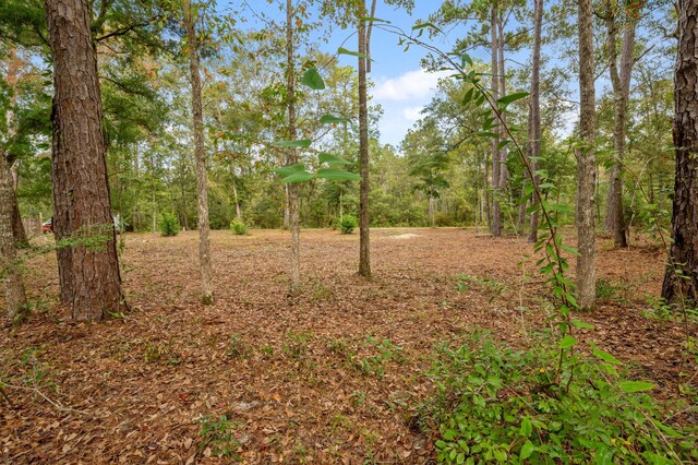 TBD-5 Wilson Way, Freeport, FL 32439 - photo 13