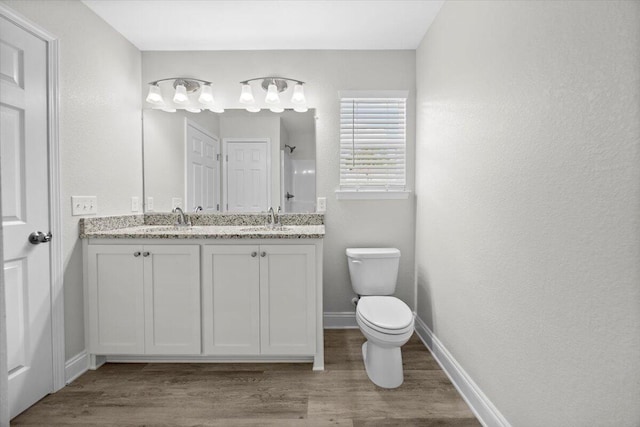 bathroom featuring toilet, vanity, and wood-type flooring