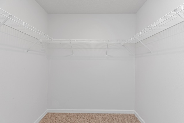 spacious closet featuring carpet