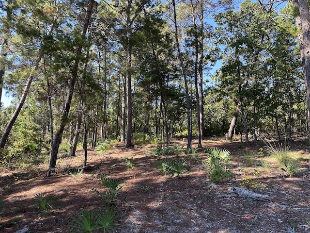 1701 Lost Cove Ln, Panama City Beach, FL 32413