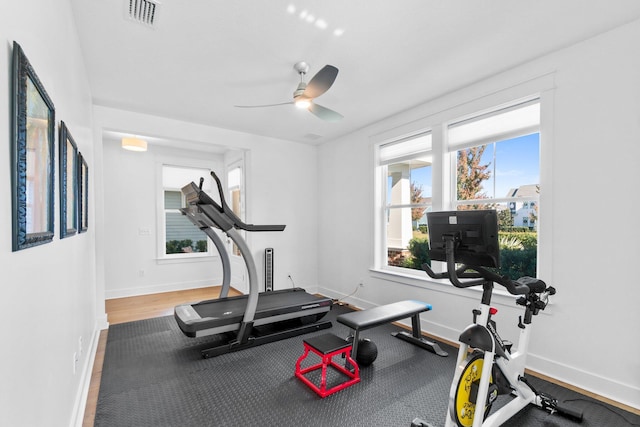 workout room featuring ceiling fan and wood-type flooring