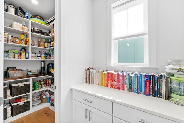 view of pantry