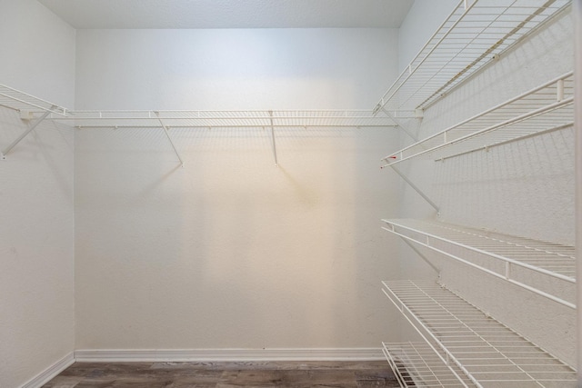 walk in closet featuring wood-type flooring