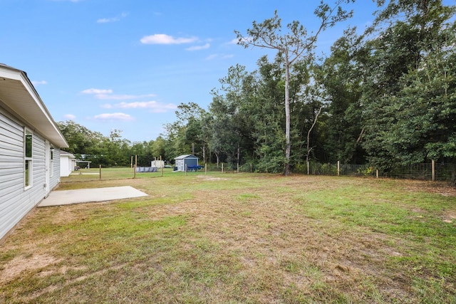 view of yard featuring a patio and a storage shed