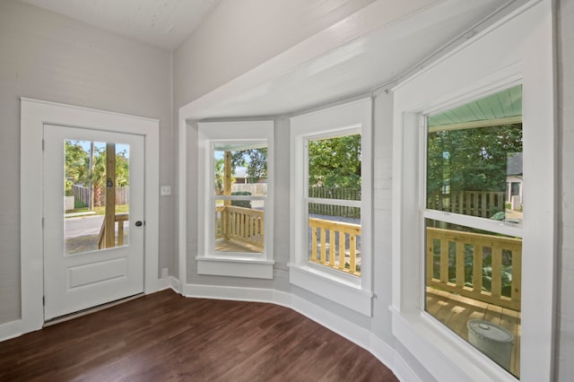 entryway featuring dark wood-type flooring