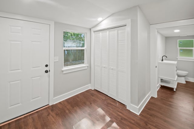 foyer featuring sink, vaulted ceiling, and dark hardwood / wood-style floors